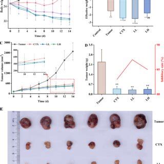 Effects Of Lops On Tumor Growth Of The Llc Mice With Ctx Chemotherapy