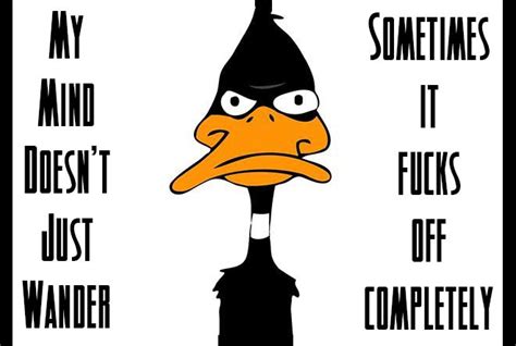 This Is Me All Over Daffy Duck Quotes Crazy Nutty Daffy