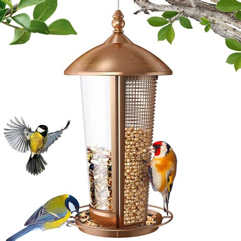 10 Best Bird Feeders for 2021 // Coupons Captain