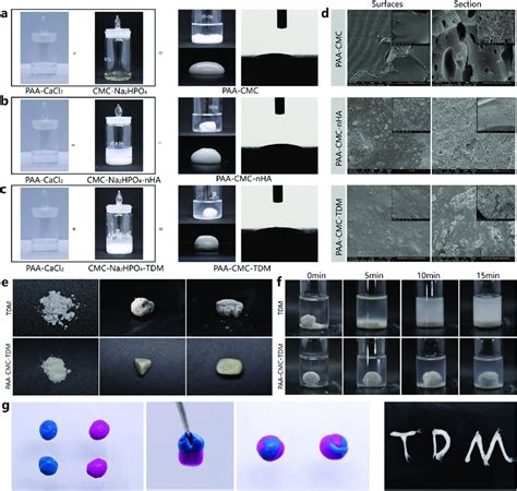 Preparation And Morphological Characterization Of Materials A C Download Scientific Diagram