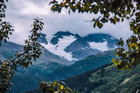 Everything You Need to Know About the Harding Icefield Trail in 2021