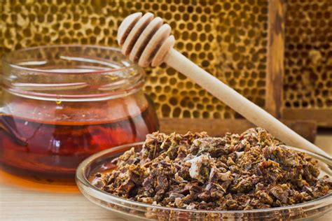 Как выглядит прополис пчелиный фото в чистом