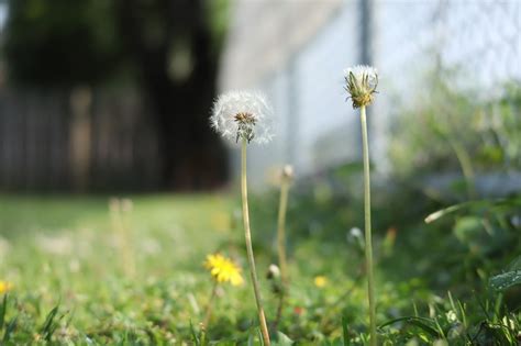 晴れてます｜宮崎のドッグランはdogrun Sol