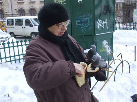 Fearless Pidgeons in Cismigiu Park – Bucharest Daily Colours