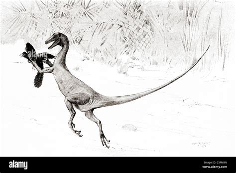 El P Jaro Coger Ornitholestes Dinosaurio En El Acto De Atrapar El