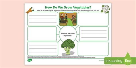 How Do We Grow Vegetables Mind Map L Insegnante Ha Fatto