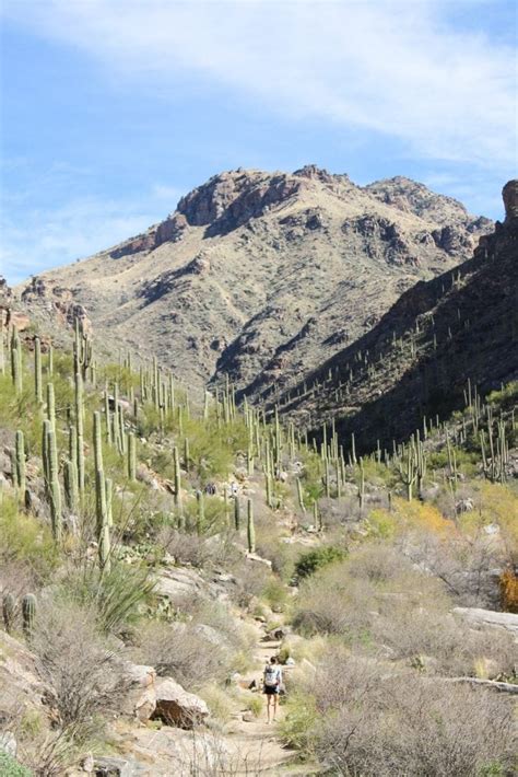 Hiking The Seven Falls Trail In Tucson Arizona