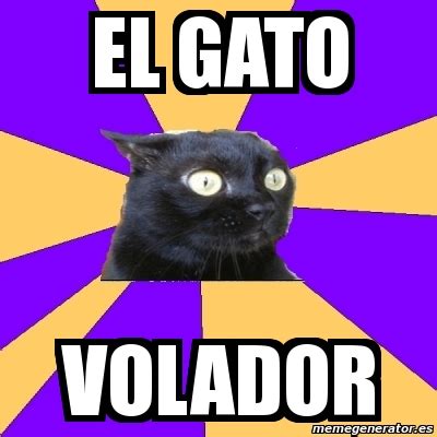 Meme Anxiety Cat El Gato Volador 6269767