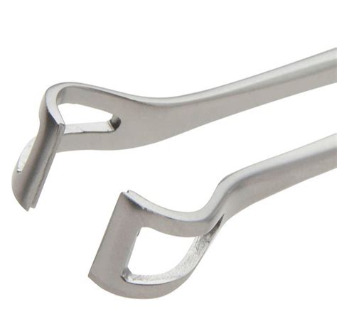 Ss Matte Babcock Forceps Size Dimension Inches At Rs