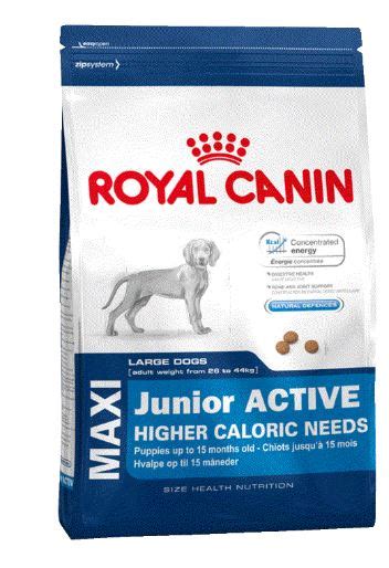 Роял Канин Maxi Junior Active для активных щенков крупных пород 15кг