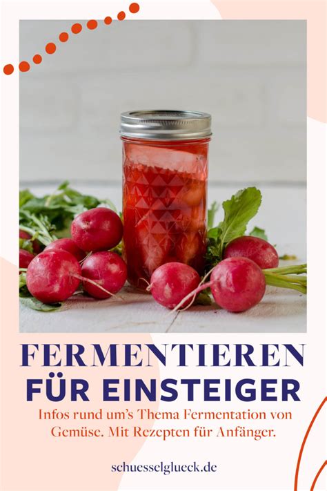 Fermentieren F R Einsteiger Gem Se Einfach Selbst Einlegen