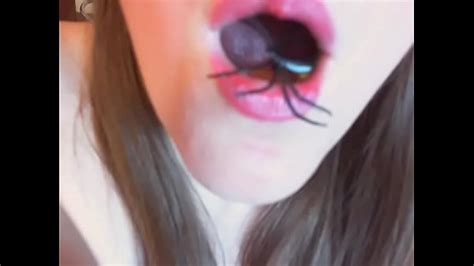 Insect Videos Xvideos