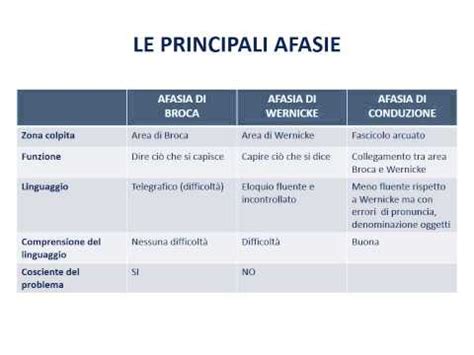 Differenze Tra L Afasia Di Broca E L Afasia Di Wernicke Psicologia 2024