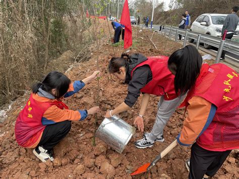 爱绿护绿，从我做起 成都市双流区永安小学植树节活动