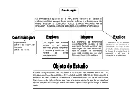 Mapa Conceptual De Sociología ¡guía Paso A Paso