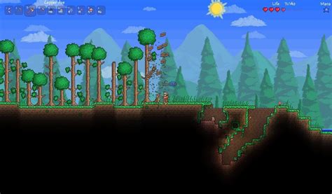 Terraria | 505 Games
