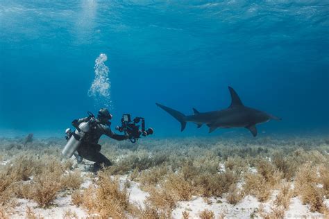 What Equipment Do You Need for Underwater Photography? - Nature TTL