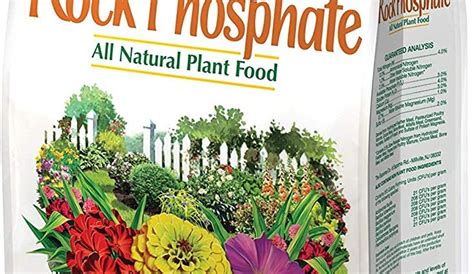 Superphosphate fertilizer: application for tomatoes – Healthy Food Near Me