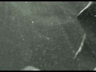 Naked Stacy Venkova In Ducky Ducky Ducky