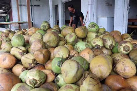 Cuaca Panas Minuman Yang Wajib Dicoba Untuk Cegah Dehidrasi Krjogja