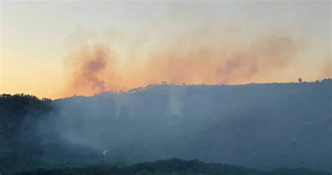 Wwf Italia Su Incendio Nell Oasi Cratere Astroni