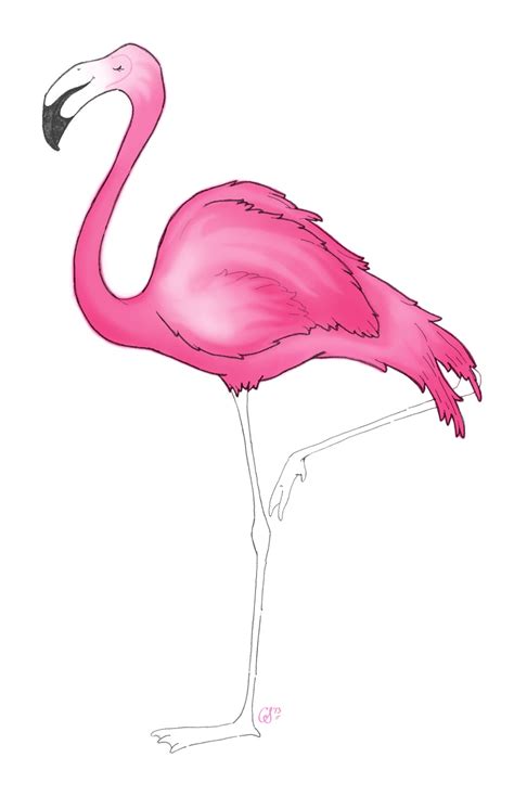 Christina Skapriwsky Illustration: Flamingo