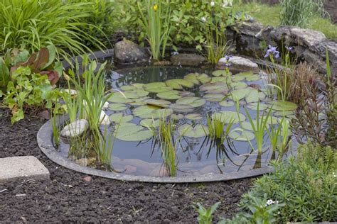 15 Breathtaking Backyard Pond Ideas - Garden Lovers Club