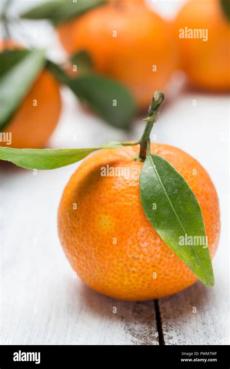 closeup shot mandarin oranges  res stock photography  images alamy