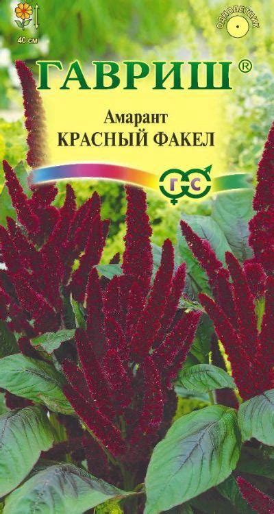 Золотая сотка алтая