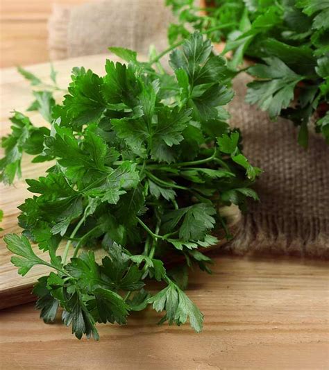 14 Dangerous Side Effects Of Cilantro