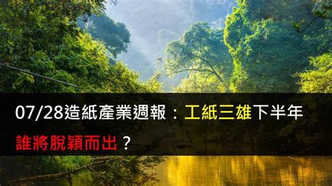 【研究報告】0729造紙產業週報：工紙三雄下半年誰將脫穎而出？