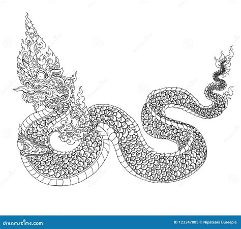 Naga Is King Of Snake And Animal Of Budhism.Thai Dragon Isolate Vector, Line Thai Is Thailand ...