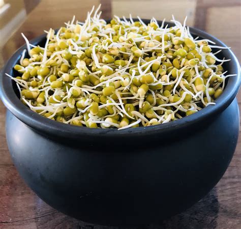 Moong Dal Sprouts