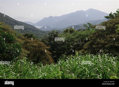 Tai Tam Country Park in Hong Kong Stock Photo - Alamy