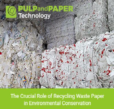 Benefits Of Recycling Waste Paper For The Environment Recycling Waste