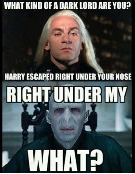 Voldemort Meme Got Your Nose