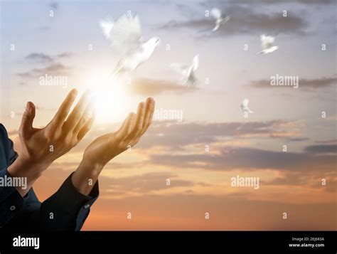 Religious Man Praying To God In Morning Stock Photo Alamy