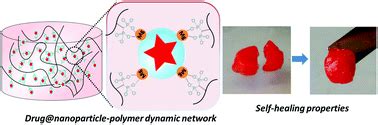 Smart Drug Loaded Nanoparticle Delivery From A Self Healing Hydrogel