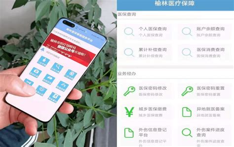 掌上即办！“榆林医保手机智慧服务平台”开通上线群众