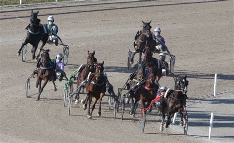 Ippica AllIppodromo Snai San Siro Domenica Di Trotto Da Non Perdere