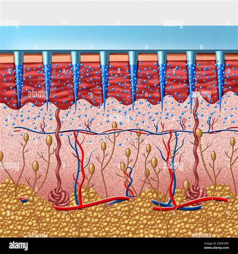 Microneedle insulin hi-res stock photography and images - Alamy