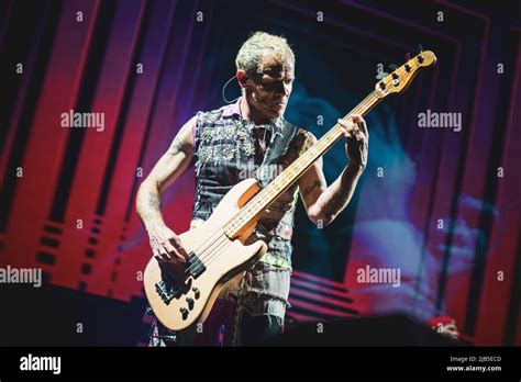 Zurich Hallenstadion October Th Flea Bassist Of The American Funk Rock Band Red Hot