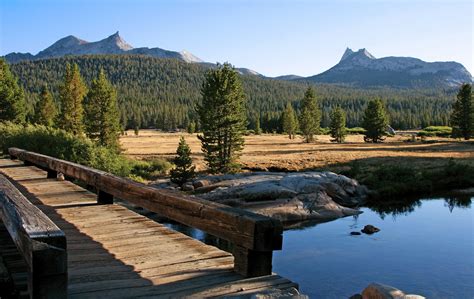 Free Yosemite Wallpaper - Tuolumne Meadows