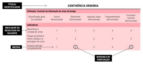 CONSULTA DE ENFERMAGEM GERONTOLÓGICA DE ACORDO NANDA I