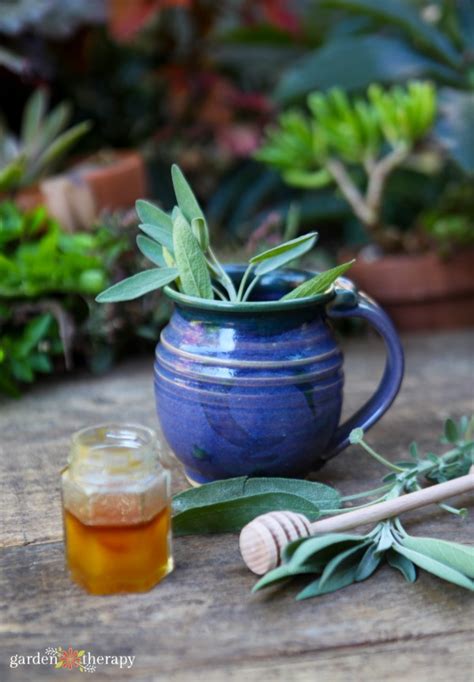 Natural & Homemade Herbal Common Cold Remedies - Garden Therapy