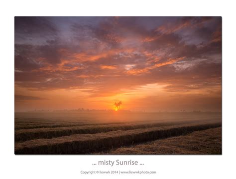 Wallpaper Sunlight Landscape Sunset Sky Field Sunrise Calm