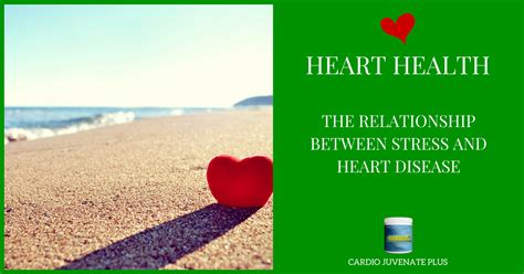 The Relationship Between Stress And Heart Disease Cardio Juvenate