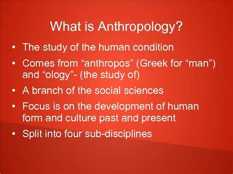 Anthropology 101 The Study Of Pretty Much Everything