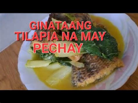 Ginataang Tilapia Na May Pechay How To Make Tilapia With Pechay In A