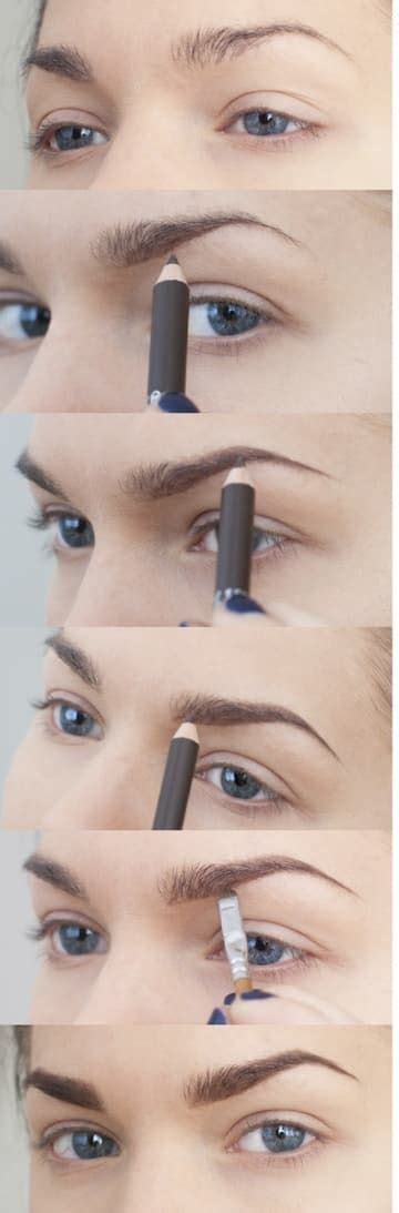 16 Eyebrow Diagrams That Will Explain Everything To You Beauty Hacks